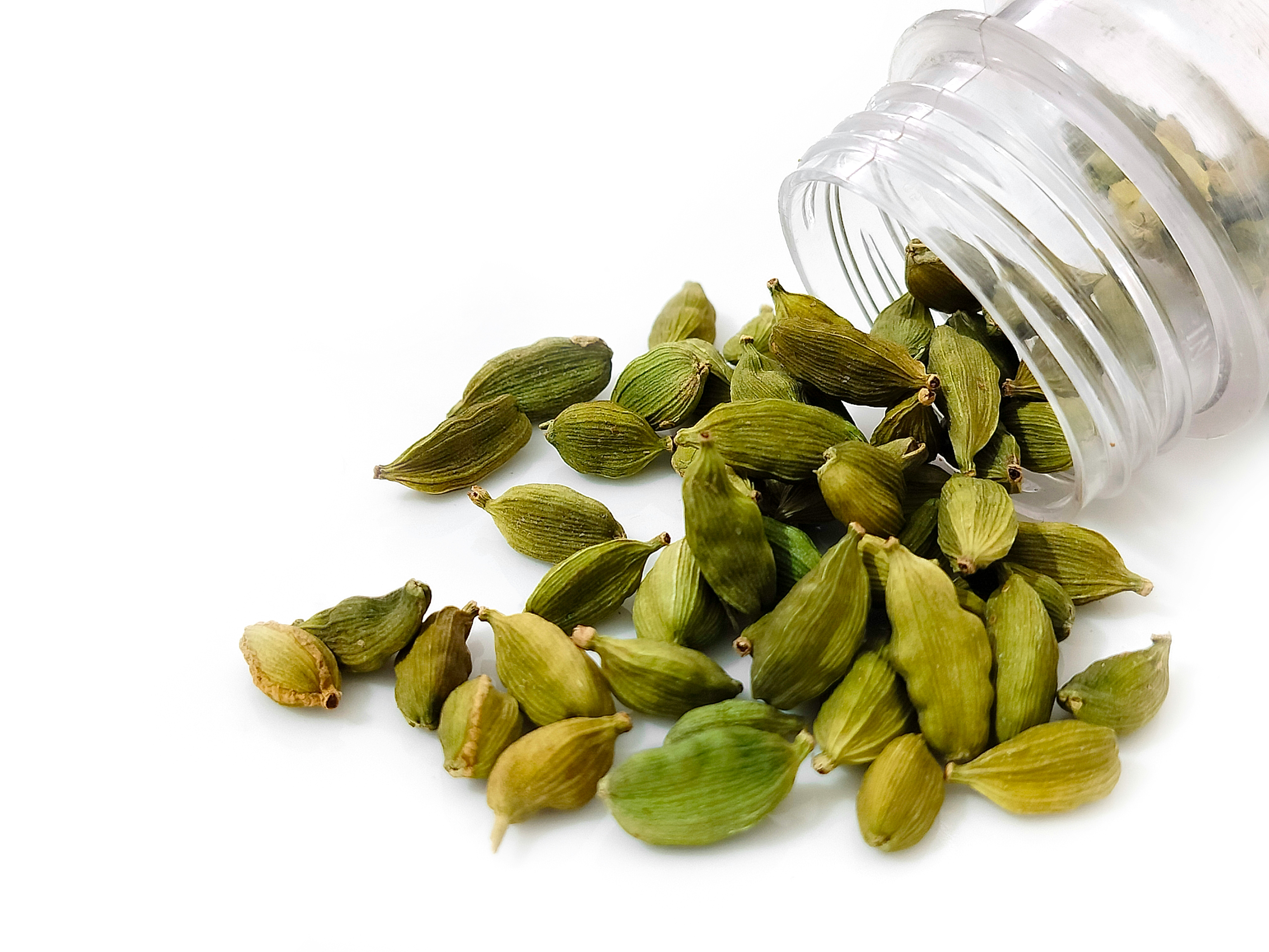 Cardamom - MASS International Exports